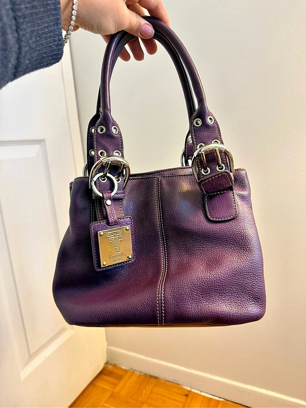 Tignanello Purple Shoulder Bag